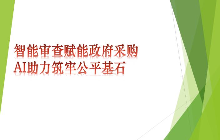 智能审查赋能政府采购    AI助力筑牢公平基石
