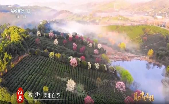 CCTV品牌强国工程《美丽中国展播》连续两天聚焦溧阳