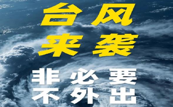 对齐“颗粒度”之“万全”  防御“白海豚”之“万一”